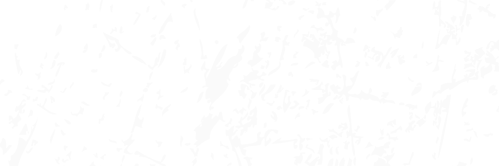 Tech career background